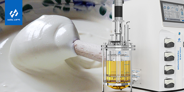 水蜜桃视频网站在乳制品生产中的重要意义 水蜜桃视频网站在乳制品生产中的重要意义