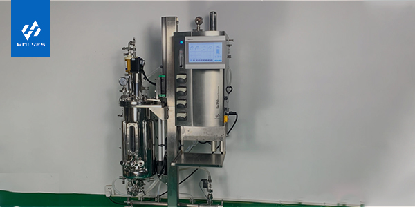 水蜜桃视频网站需要具备的条件 水蜜桃视频网站需要具备的条件